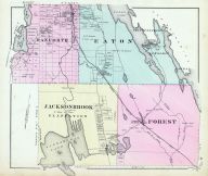 Danforth, Eaton, Jacksonbrook, Forest, Washington County 1881